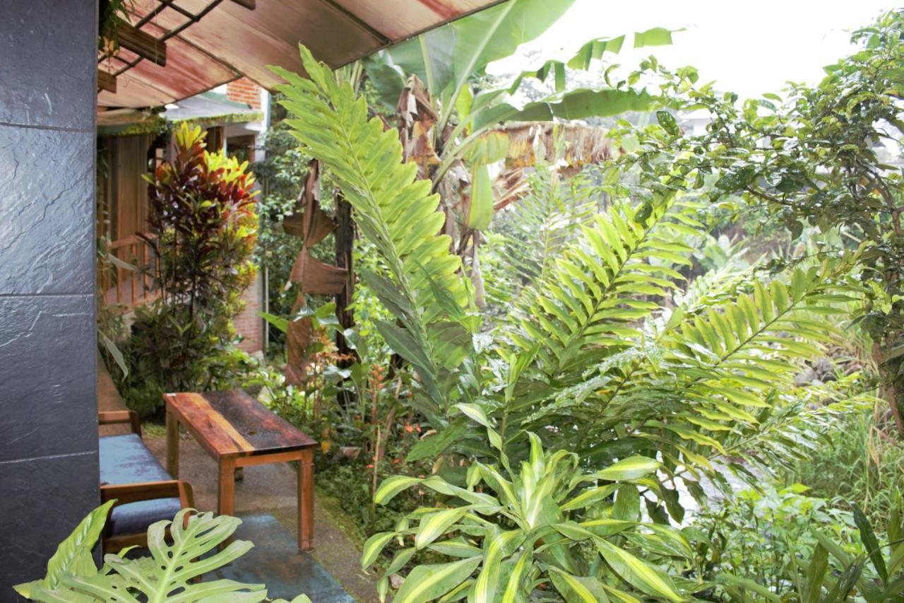 Hostal Zafiro Mindo Luaran gambar